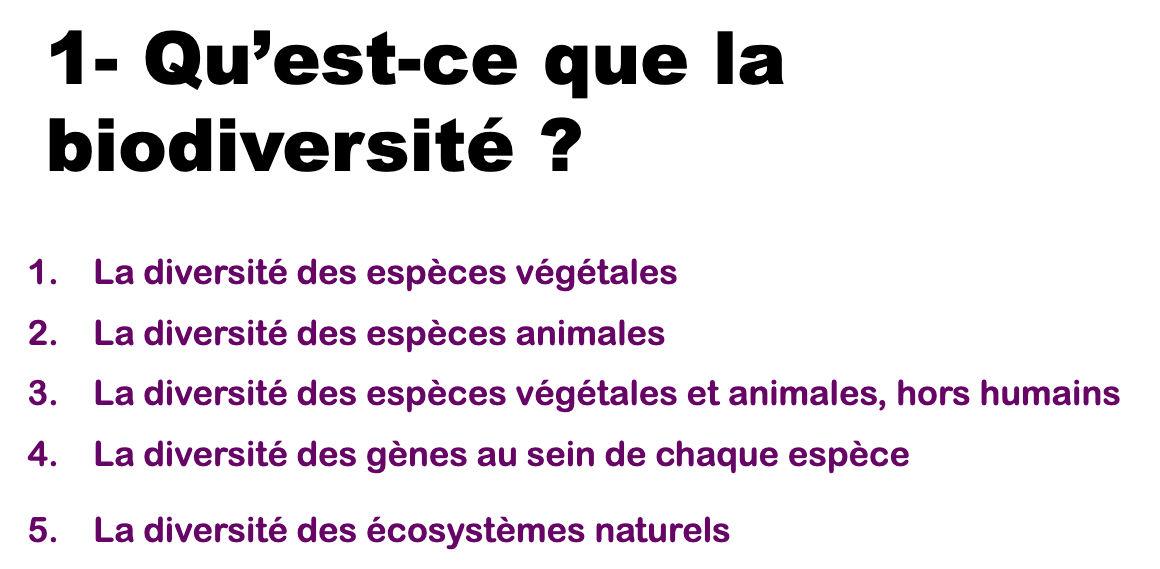 Slide du quizz<br>